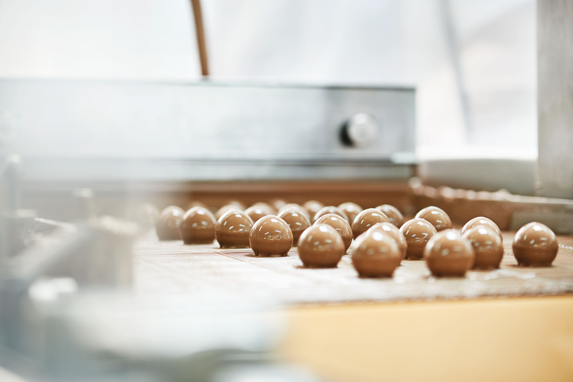 Pralinen, Trüffel, Schokolade, Schokoladenfiguren, Pralinenmanufactur Große Bölting Rhede, Adventskalender online, Trüffel Pralinen kaufen, Pralinen hangemacht