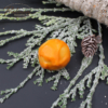 praline sandorn orange