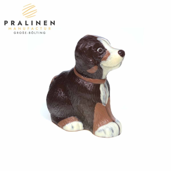 Schokoladenfigur Hund Bello kaufen