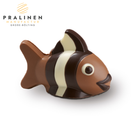 Fisch aus Schokolade, Schokofigur, Schokoladenfigur, Schokoladen Geschenke, Schokolade online